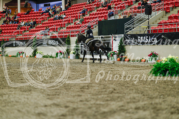 2025 - Haylee - Royal West - Saturday October 18th - 04513