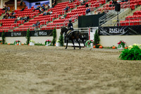 2025 - Haylee - Royal West - Saturday October 18th - 04514