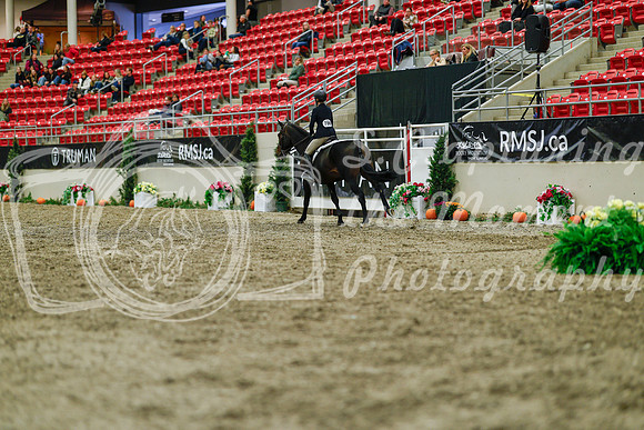 2025 - Haylee - Royal West - Saturday October 18th - 04514