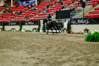 2025 - Haylee - Royal West - Saturday October 18th - 04515
