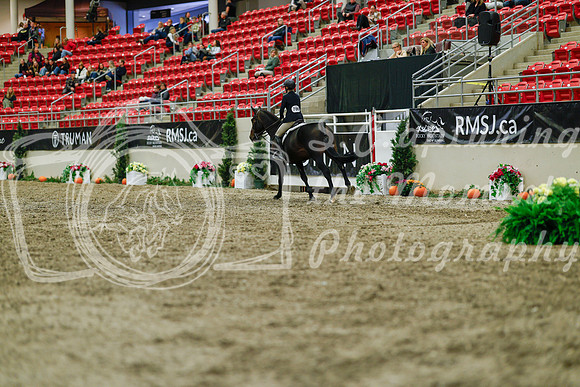 2025 - Haylee - Royal West - Saturday October 18th - 04515
