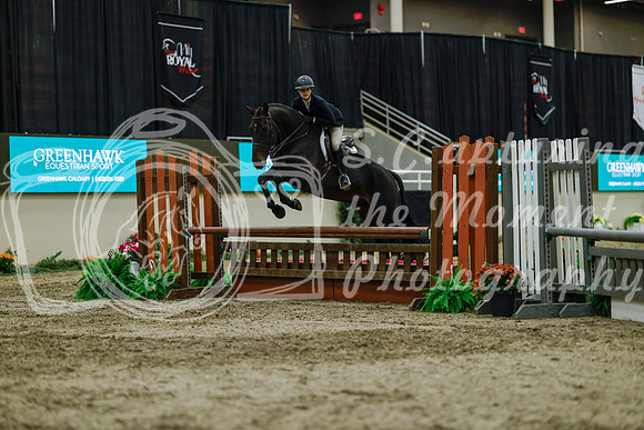 2025 - Haylee - Royal West - Saturday October 18th - 04517