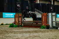 2025 - Haylee - Royal West - Saturday October 18th - 04521