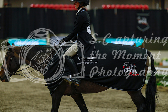 2025 - Haylee - Royal West - Saturday October 18th - 04557