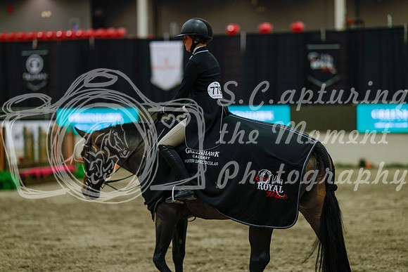 2025 - Haylee - Royal West - Saturday October 18th - 04559