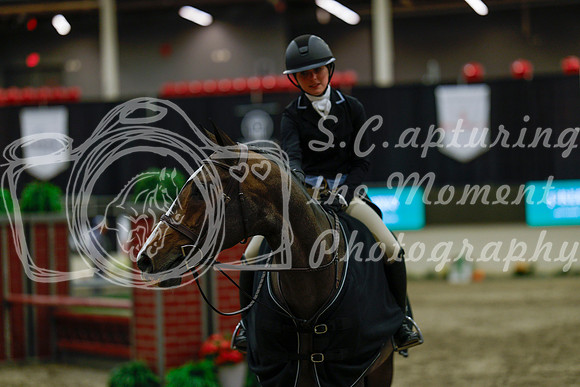 2025 - Haylee - Royal West - Saturday October 18th - 04565