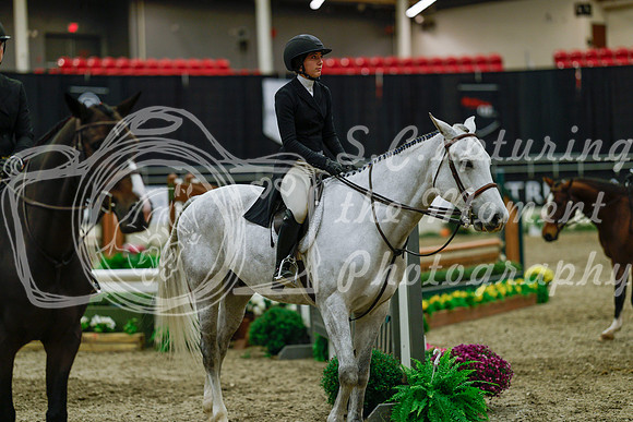 2025 - Haylee - Royal West - Saturday October 18th - 04578
