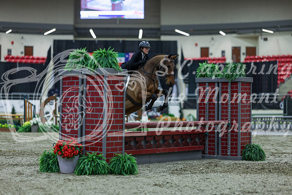 2025 - Shea - Royal West - Saturday October 18th - 01111