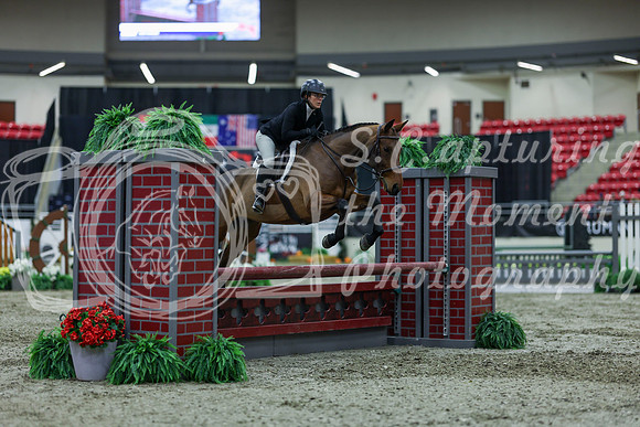 2025 - Shea - Royal West - Saturday October 18th - 01115