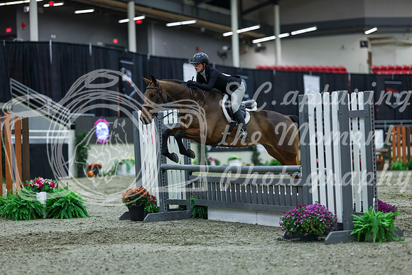 2025 - Shea - Royal West - Saturday October 18th - 01125