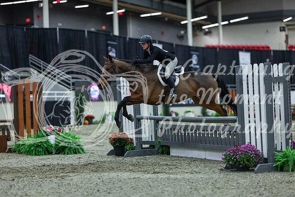 2025 - Shea - Royal West - Saturday October 18th - 01127