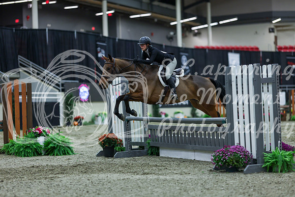 2025 - Shea - Royal West - Saturday October 18th - 01126