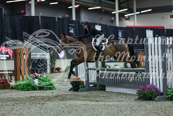 2025 - Shea - Royal West - Saturday October 18th - 01128