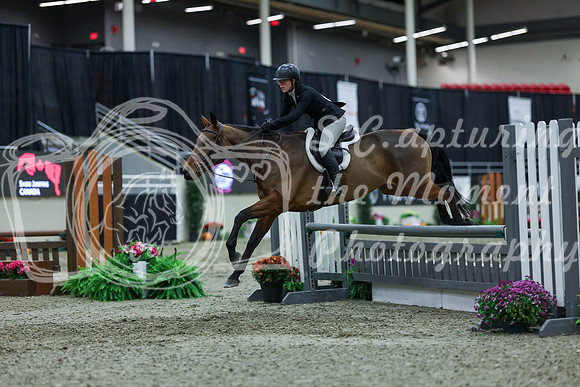 2025 - Shea - Royal West - Saturday October 18th - 01129