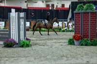 2025 - Shea - Royal West - Saturday October 18th - 01132
