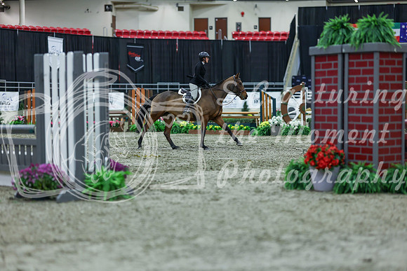 2025 - Shea - Royal West - Saturday October 18th - 01132