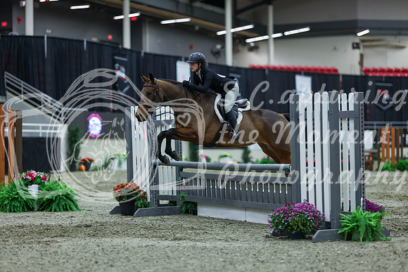 2025 - Shea - Royal West - Saturday October 18th - 01230