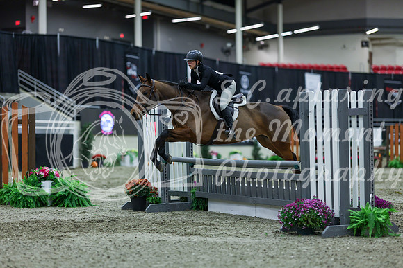 2025 - Shea - Royal West - Saturday October 18th - 01231