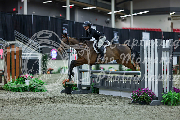 2025 - Shea - Royal West - Saturday October 18th - 01232