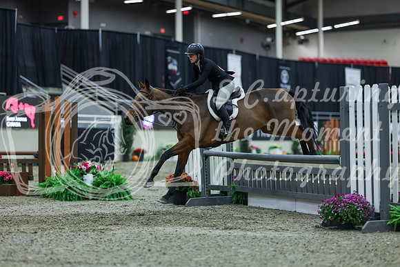 2025 - Shea - Royal West - Saturday October 18th - 01234