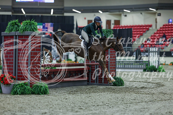 2025 - Shea - Royal West - Saturday October 18th - 00468