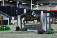 2025 - Shea - Royal West - Saturday October 18th - 00474