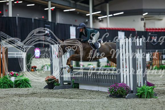 2025 - Shea - Royal West - Saturday October 18th - 00474