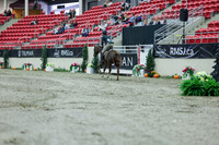 2025 - Shea - Royal West - Saturday October 18th - 00478