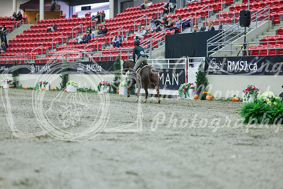 2025 - Shea - Royal West - Saturday October 18th - 00480