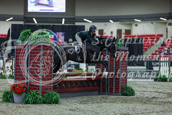 2025 - Shea - Royal West - Saturday October 18th - 00760