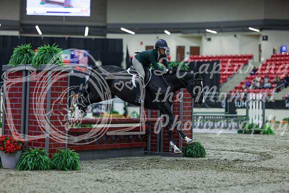 2025 - Shea - Royal West - Saturday October 18th - 00763