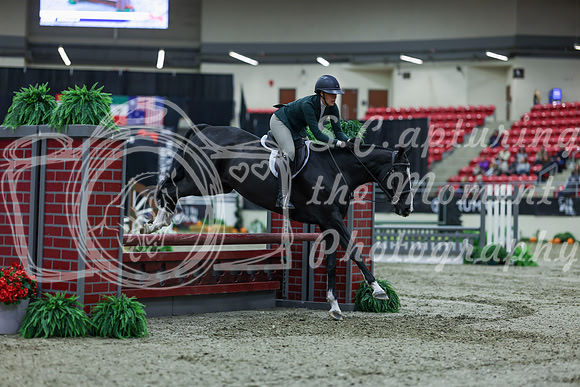 2025 - Shea - Royal West - Saturday October 18th - 00764
