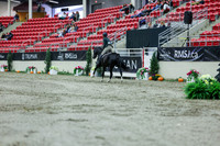 2025 - Shea - Royal West - Saturday October 18th - 00775