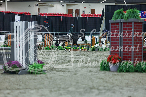 2025 - Shea - Royal West - Saturday October 18th - 00776
