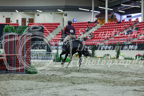 2025 - Shea - Royal West - Saturday October 18th - 01411
