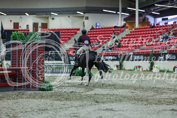 2025 - Shea - Royal West - Saturday October 18th - 01414