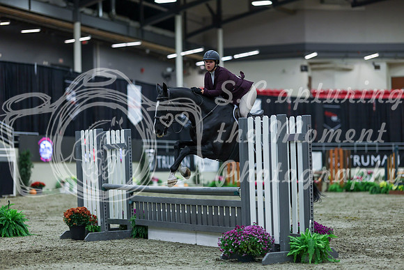 2025 - Shea - Royal West - Saturday October 18th - 01416