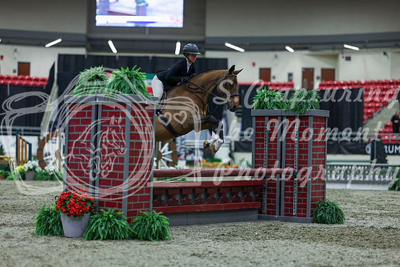 2025 - Shea - Royal West - Saturday October 18th - 01458
