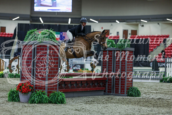 2025 - Shea - Royal West - Saturday October 18th - 01460