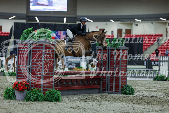 2025 - Shea - Royal West - Saturday October 18th - 01461