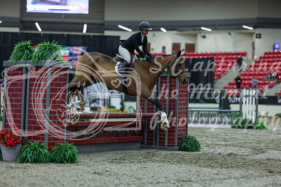 2025 - Shea - Royal West - Saturday October 18th - 01465