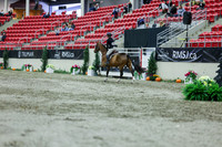 2025 - Shea - Royal West - Saturday October 18th - 01473
