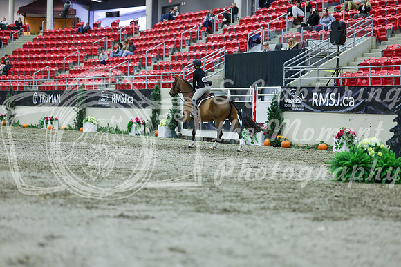 2025 - Shea - Royal West - Saturday October 18th - 01473