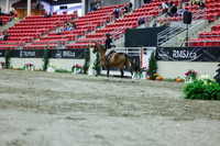 2025 - Shea - Royal West - Saturday October 18th - 01474