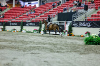 2025 - Shea - Royal West - Saturday October 18th - 01475