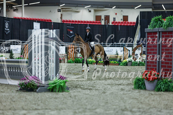2025 - Shea - Royal West - Saturday October 18th - 01534