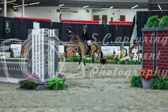 2025 - Shea - Royal West - Saturday October 18th - 01535