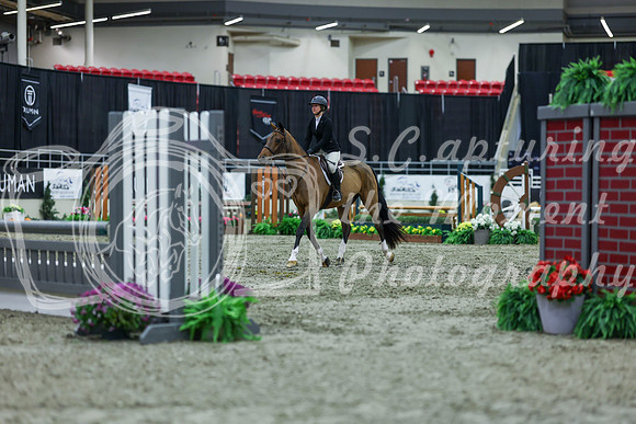 2025 - Shea - Royal West - Saturday October 18th - 01536