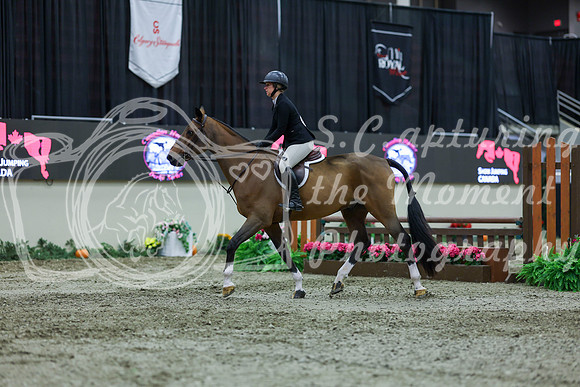 2025 - Shea - Royal West - Saturday October 18th - 01537