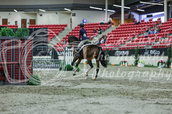 2025 - Shea - Royal West - Saturday October 18th - 01567